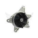 Image-2