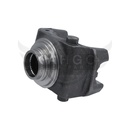 Image-2