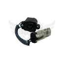 Image-1