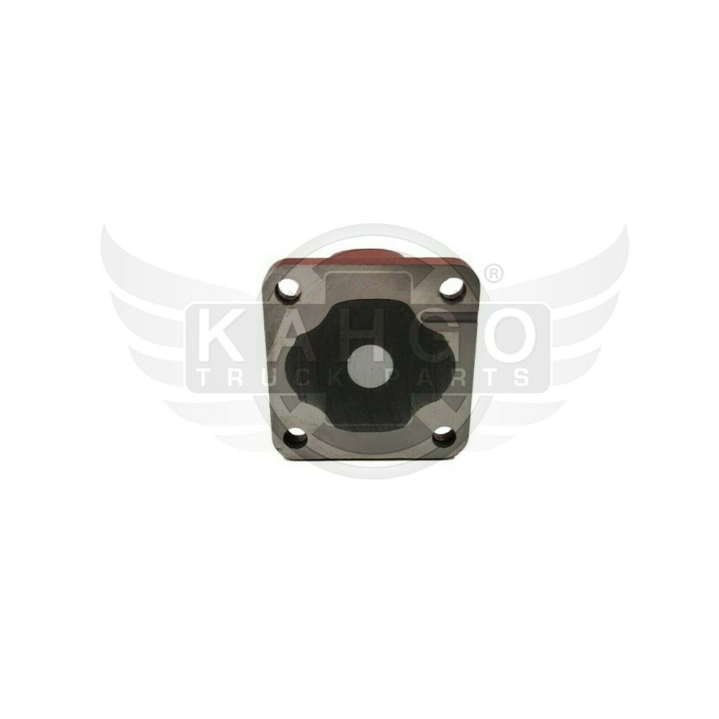 Image-1