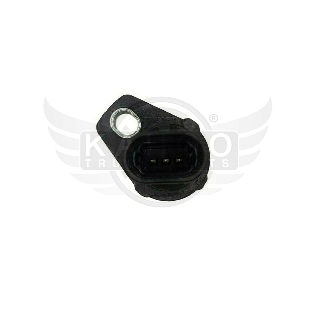 Image-1
