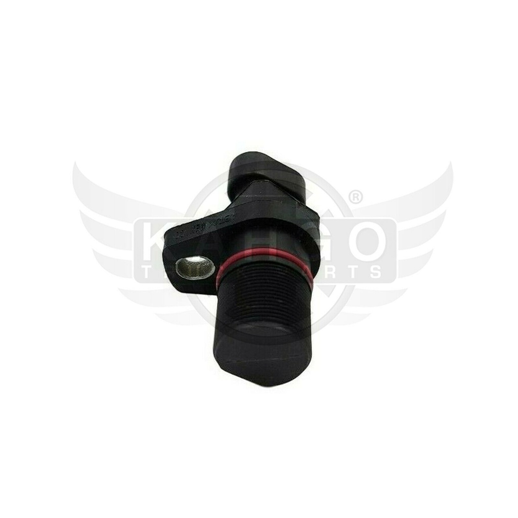 Image-3
