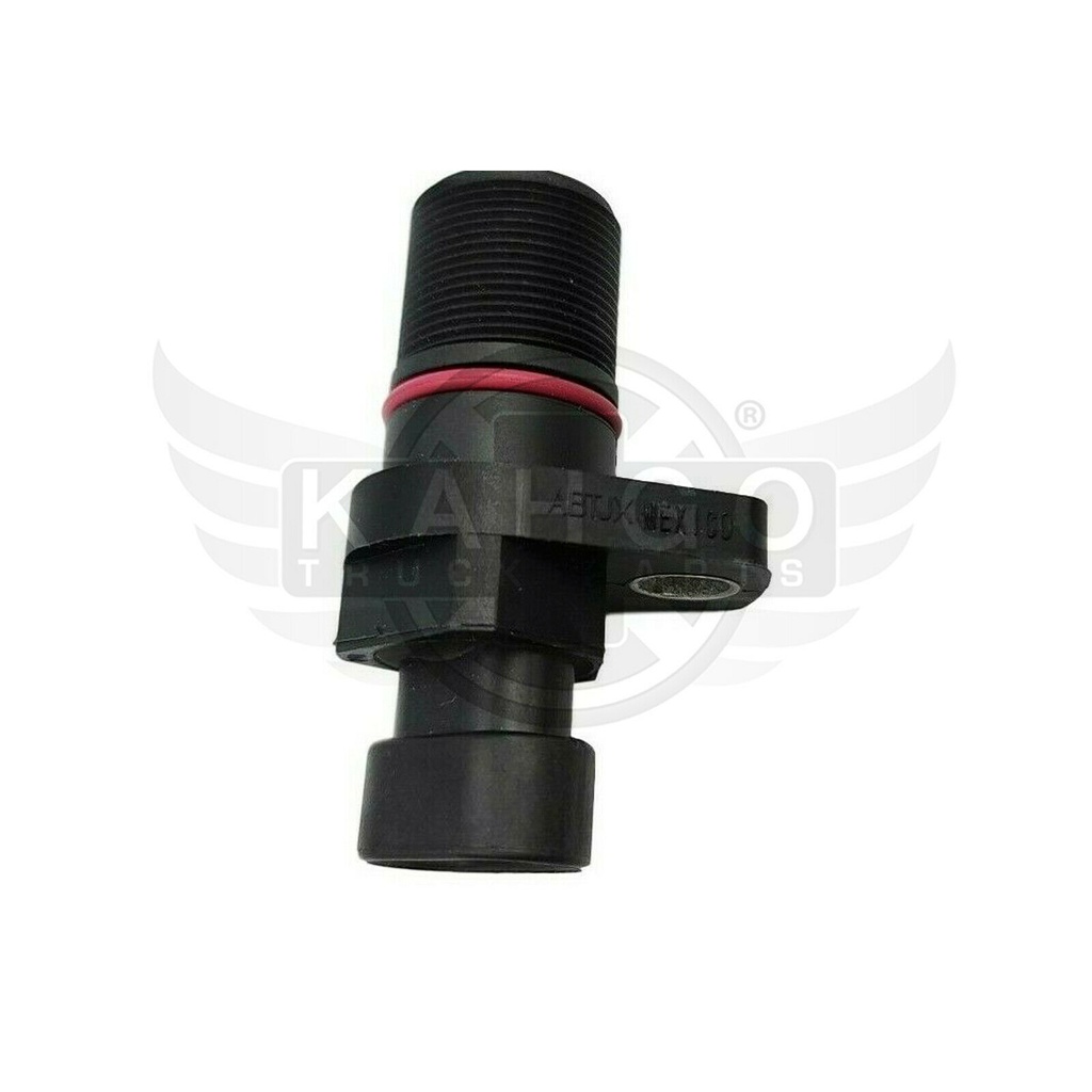 Image-4