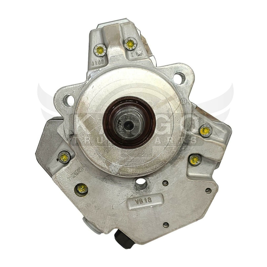 Image-4