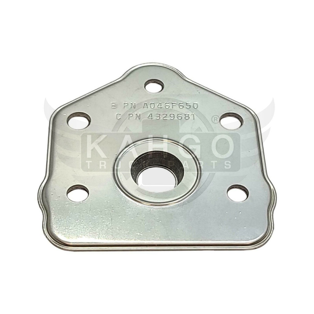 Image-1