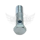 Image-2