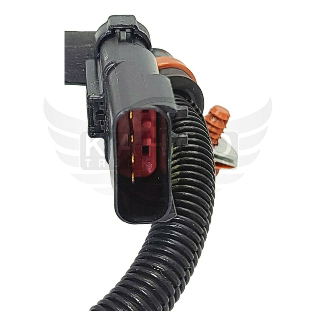 Image-2