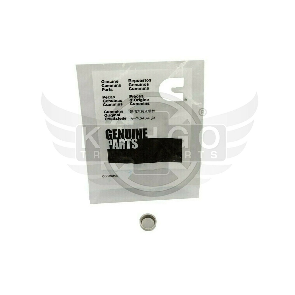 Image-1
