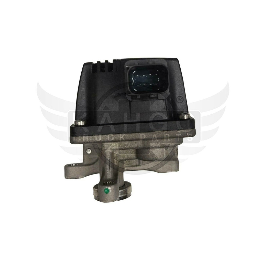 Image-2