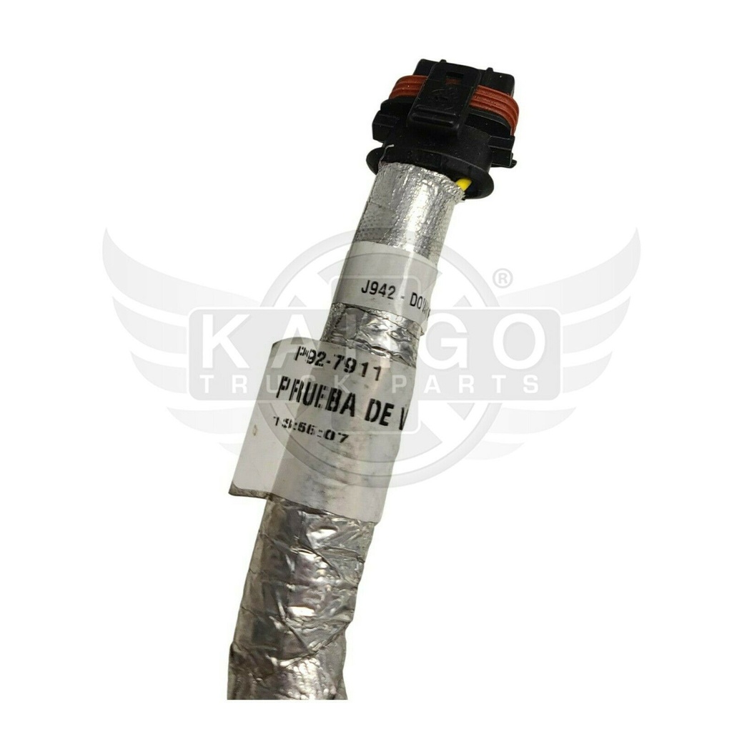 Image-2
