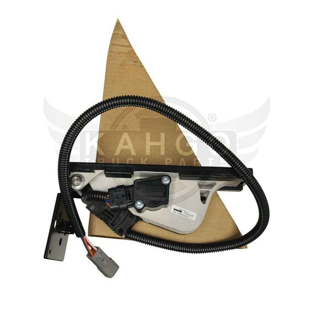 Image-1