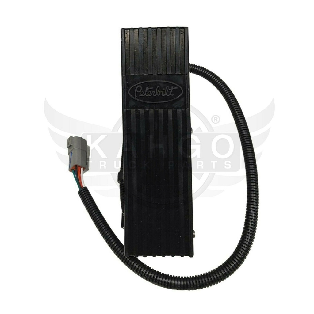Image-2