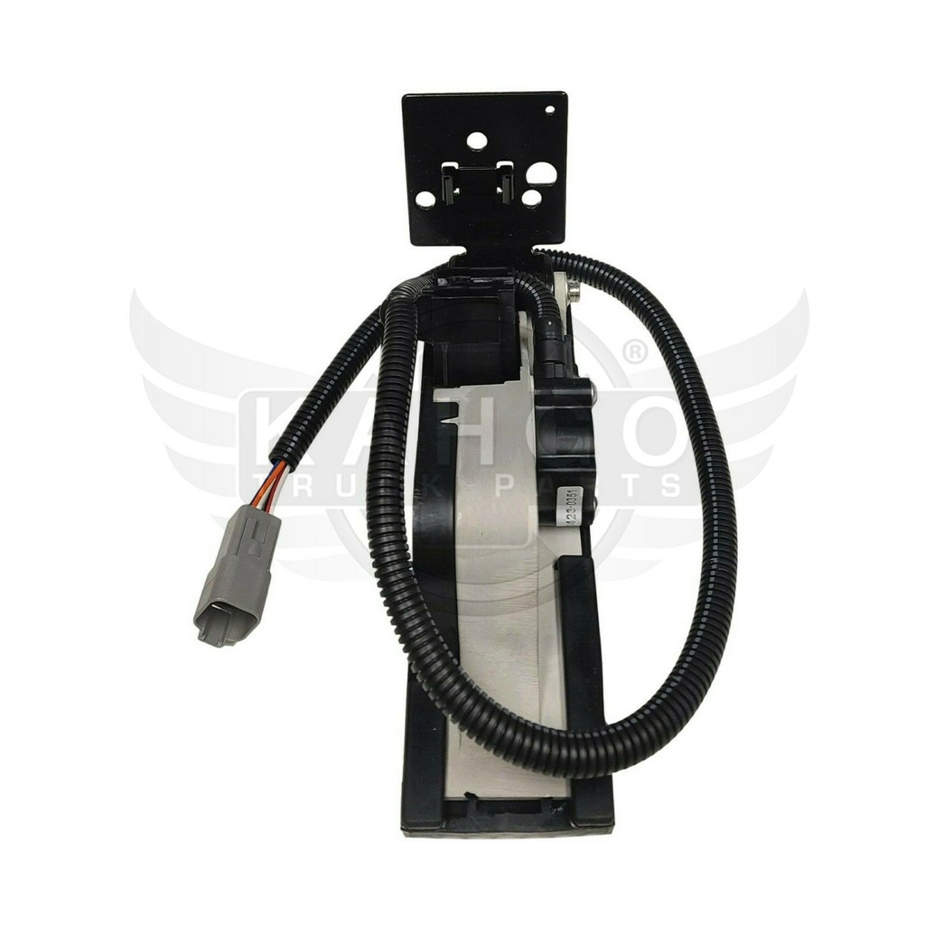 Image-3