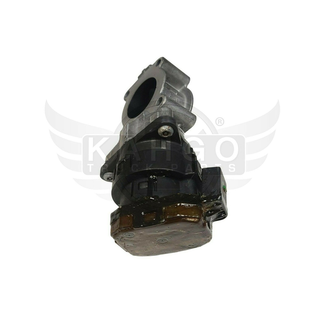 Image-2