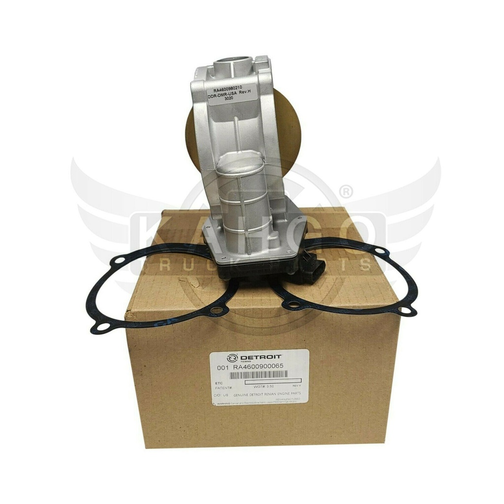 Image-1