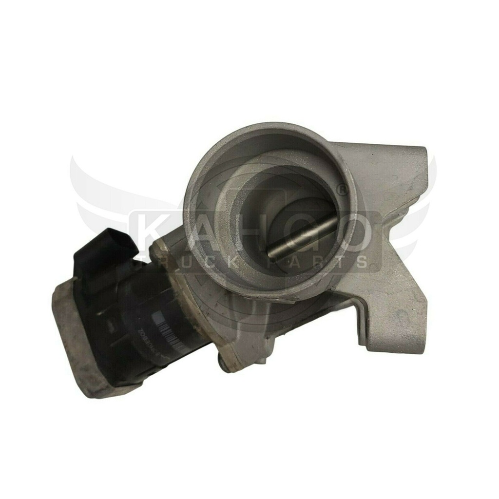 Image-3
