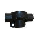 Image-3