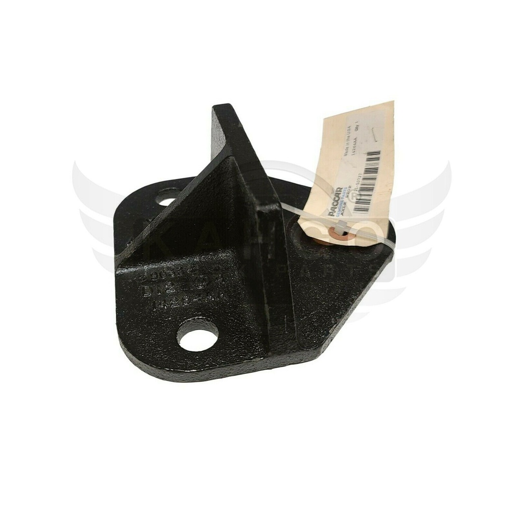 Image-1