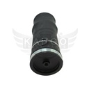 Image-2