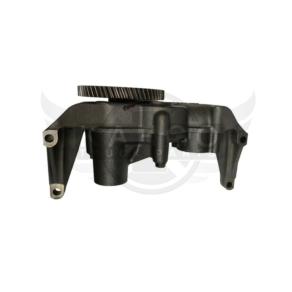 Image-3