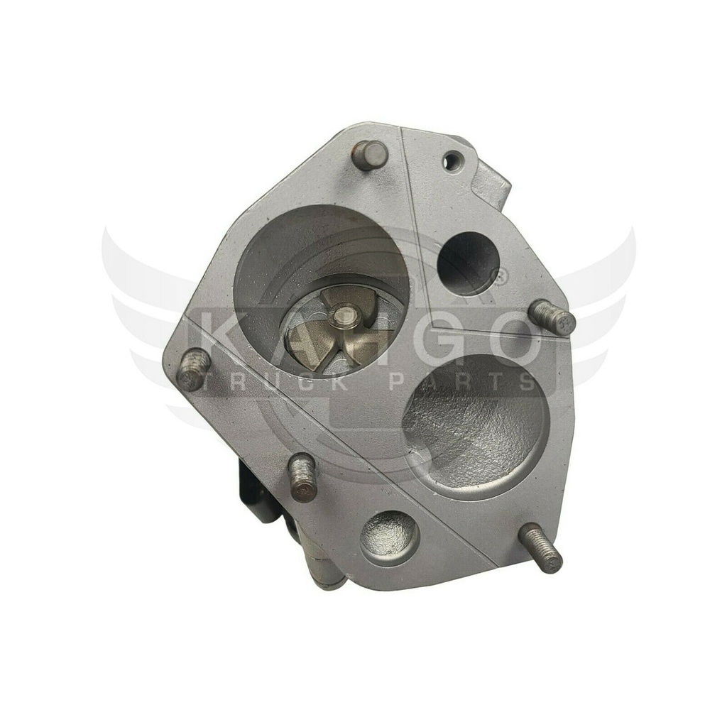 Image-2