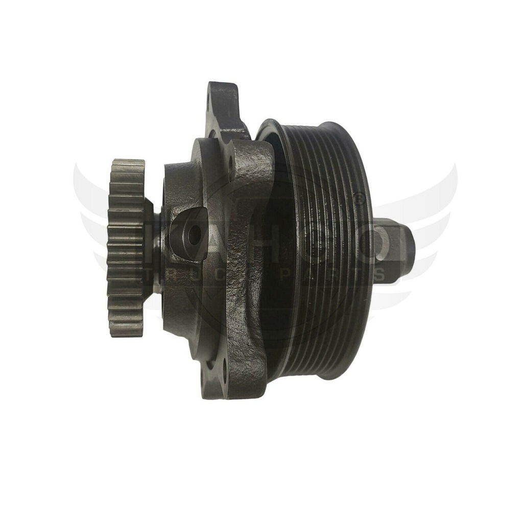 Image-1