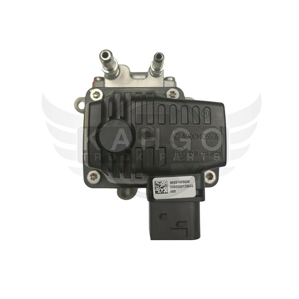 Image-2
