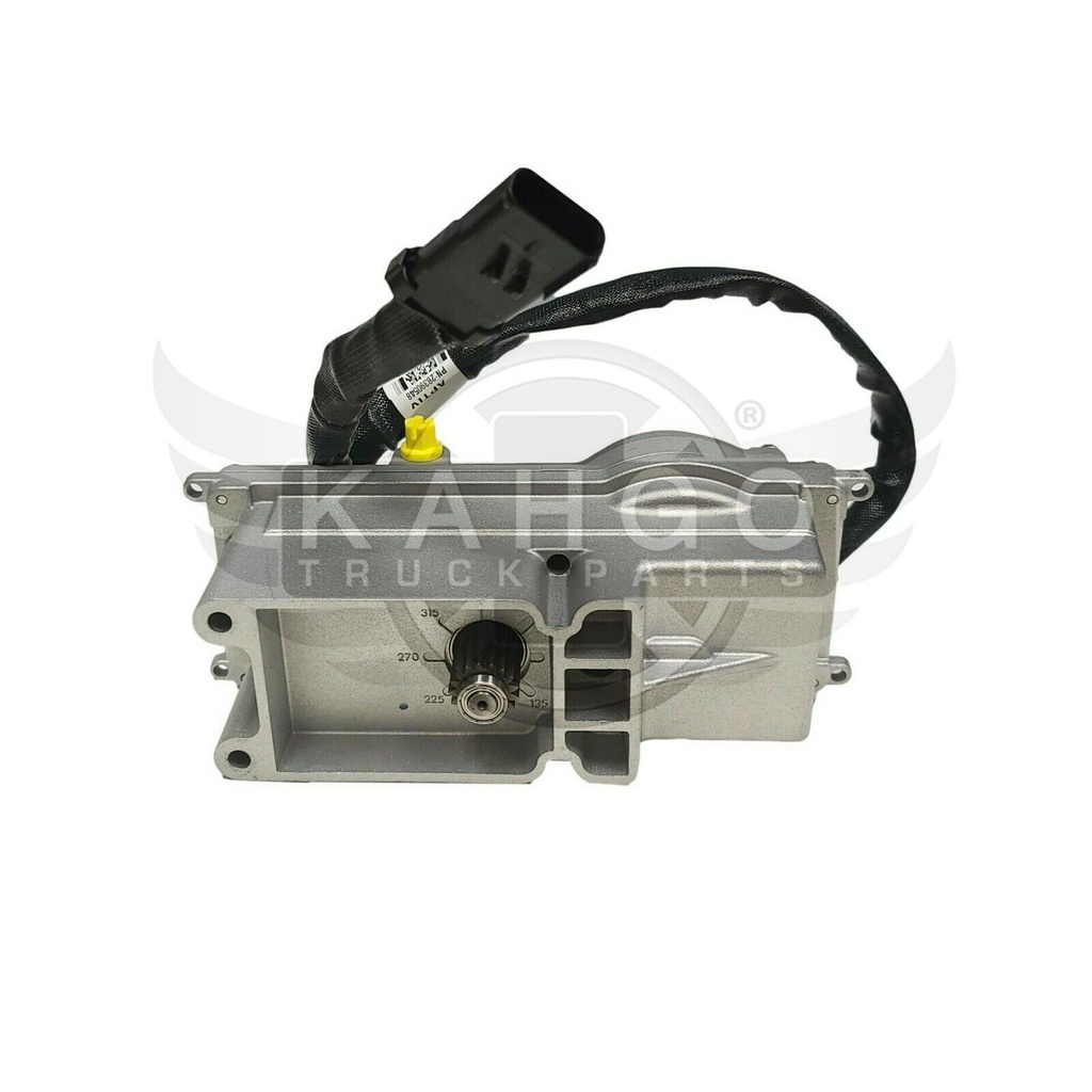 Image-1