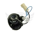 Image-2
