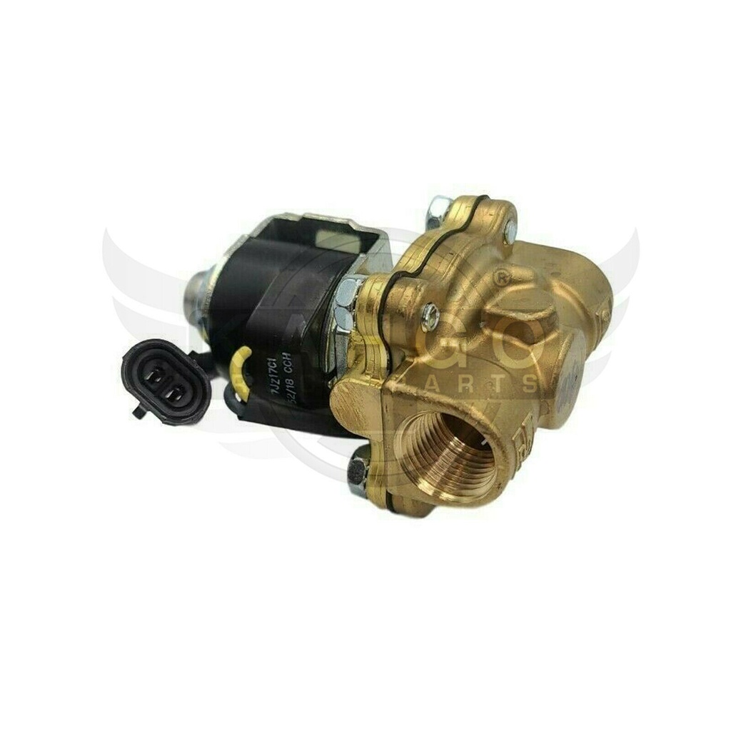 Image-2