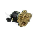 Image-2