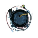 Image-1
