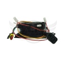 Image-2