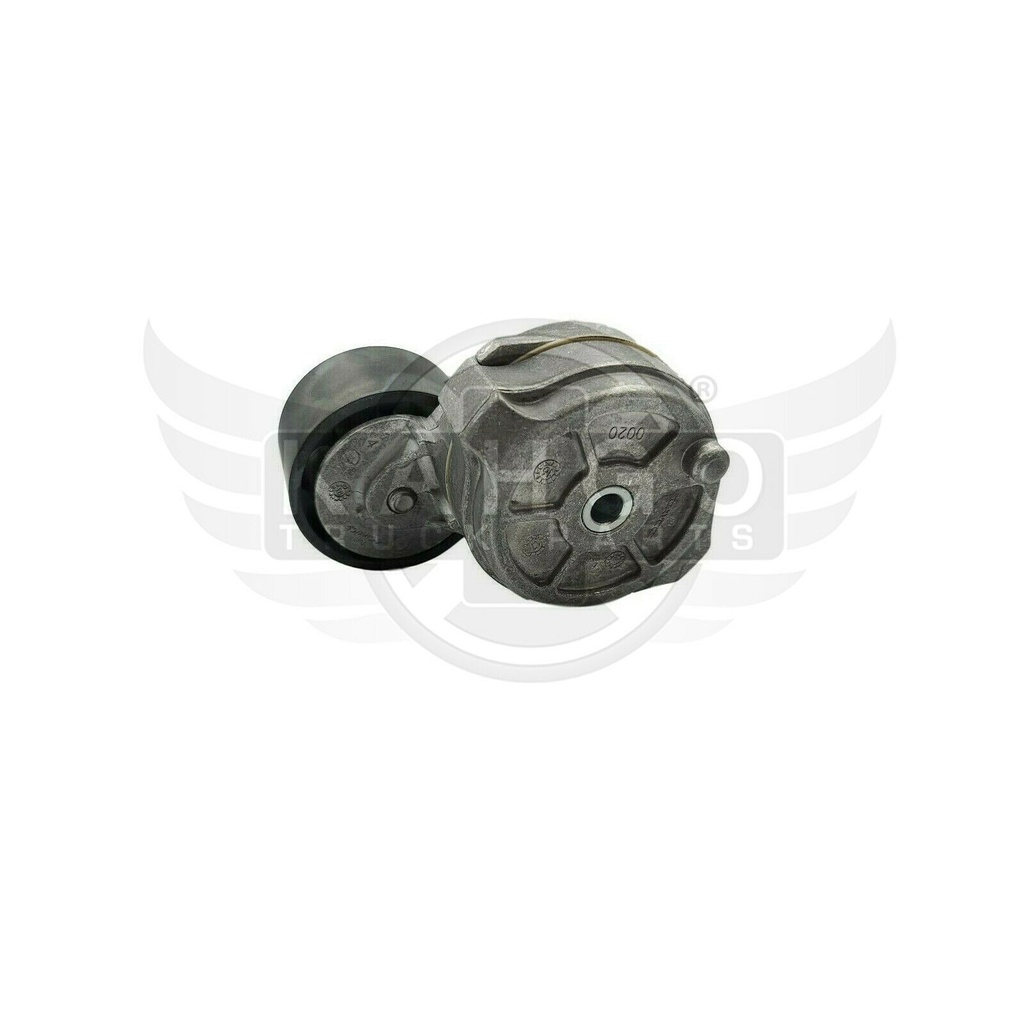 Image-1