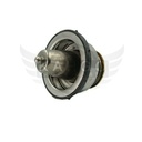 Image-2
