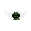 Image-1