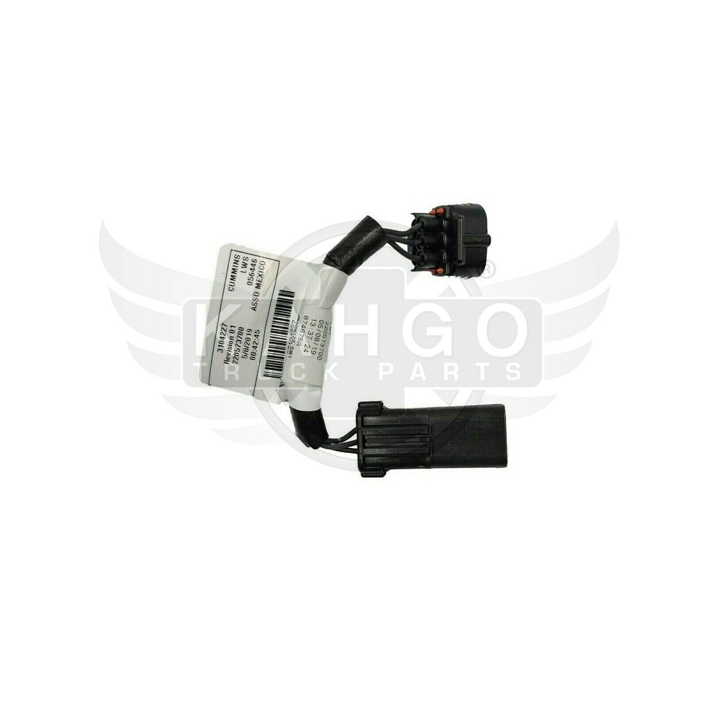 Image-1