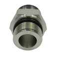Image-2