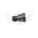 Image-1