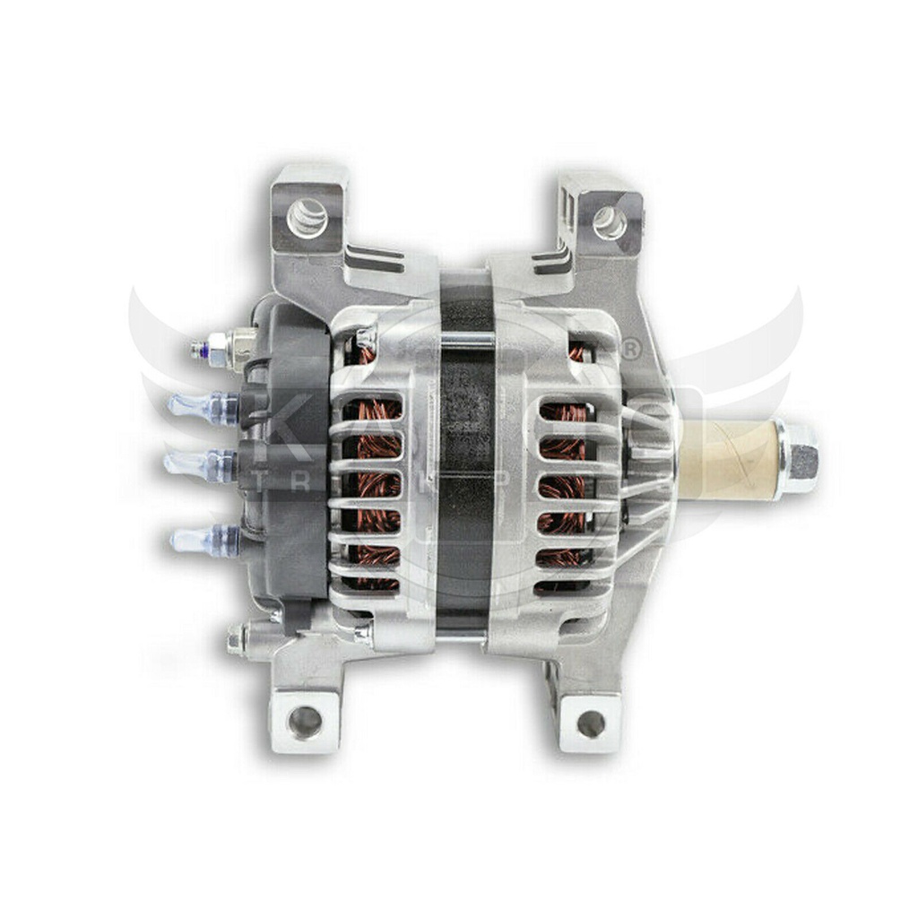 Image-1