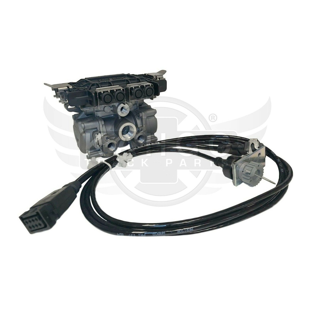 Image-1