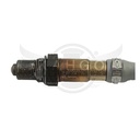 Image-1