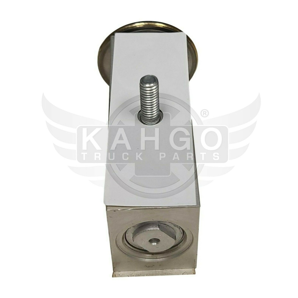 Image-1