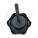 Image-2