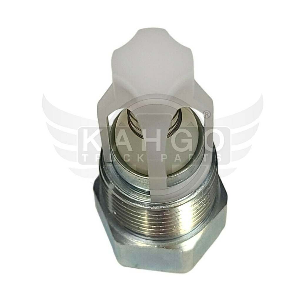 Image-2