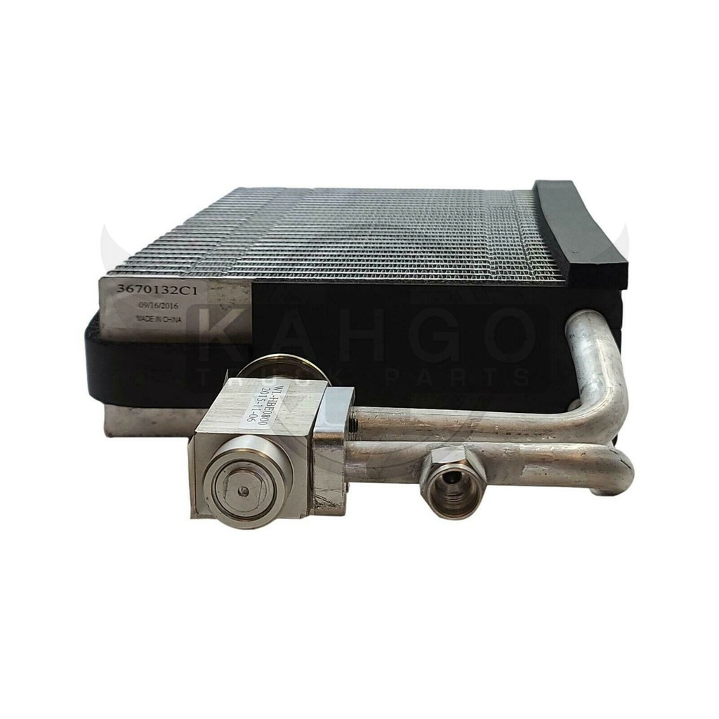 Image-1