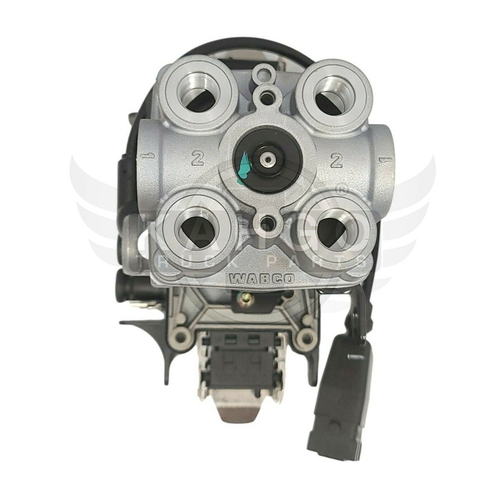 Image-3