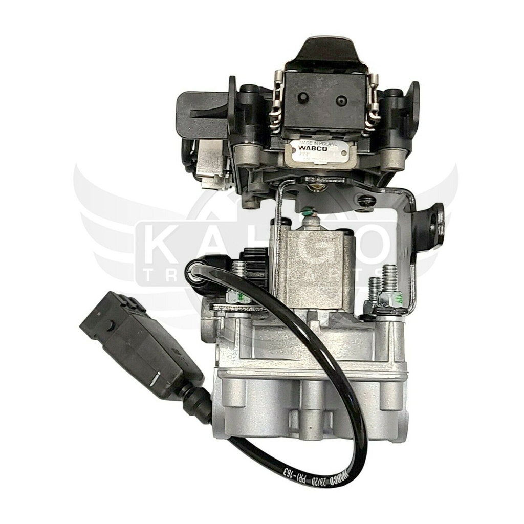 Image-4