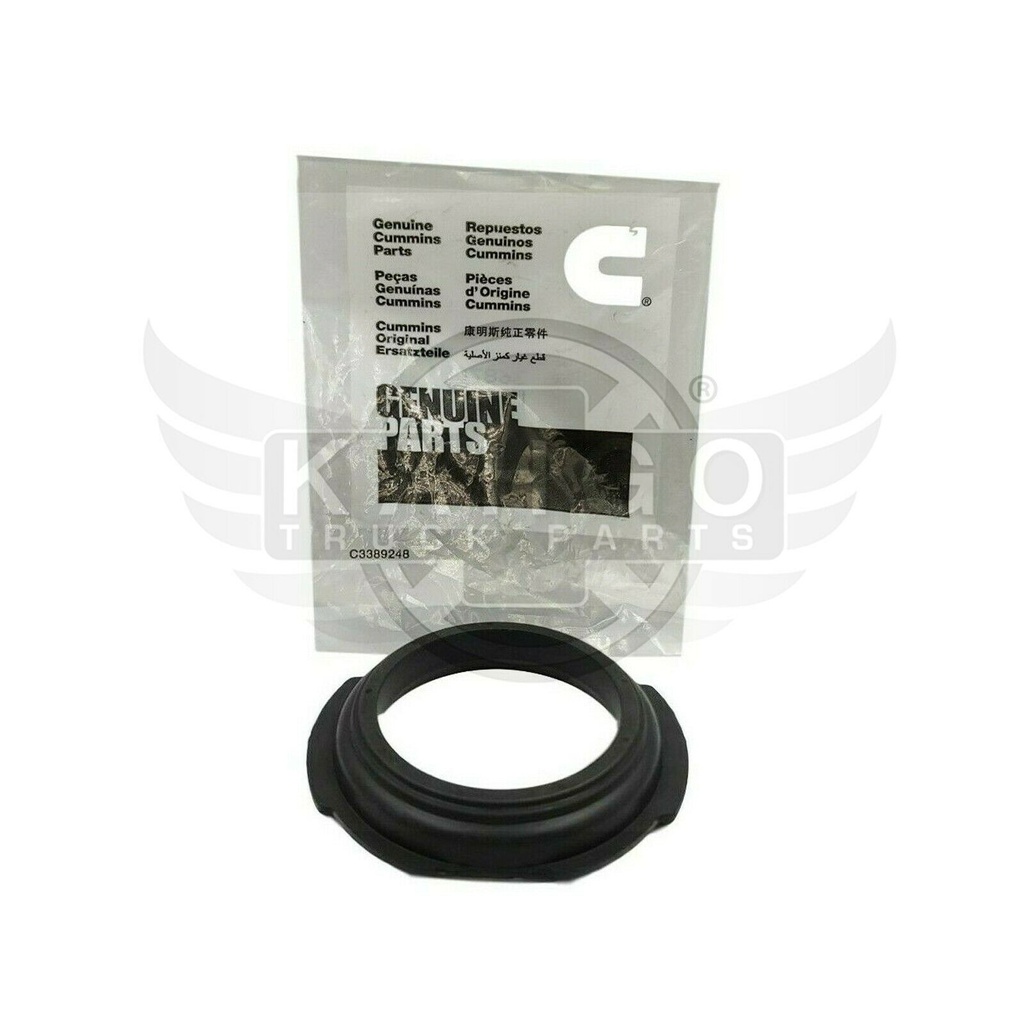 Image-1