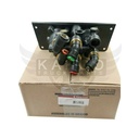 Image-2